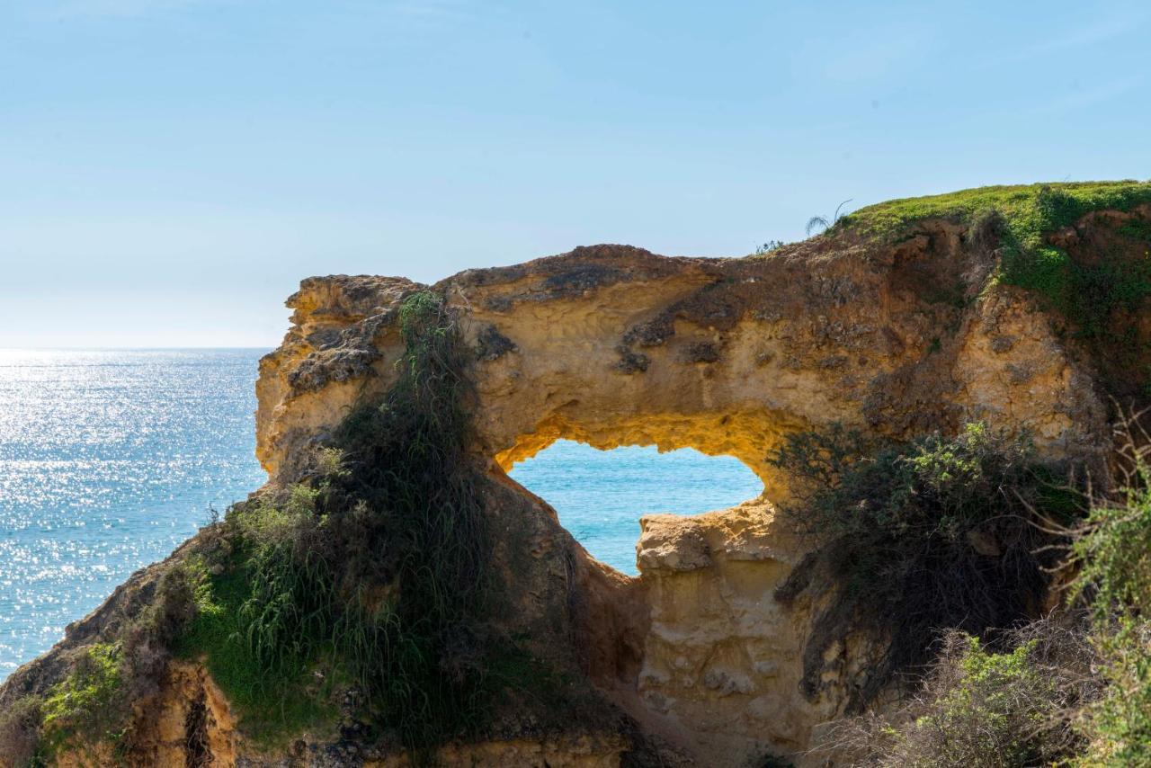 Casa Das Conchas Armação de Pêra Buitenkant foto